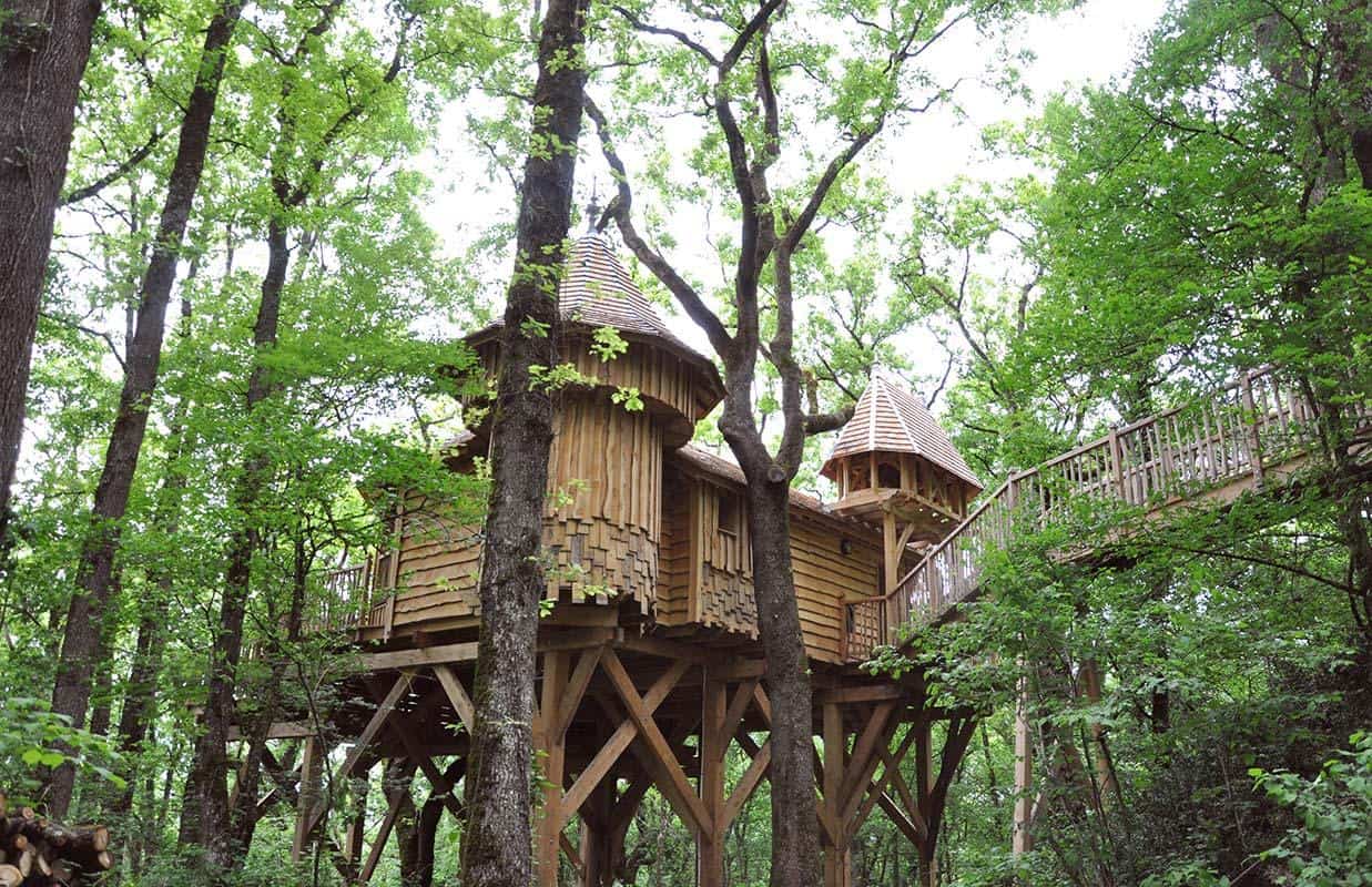 Châteaux dans les arbres