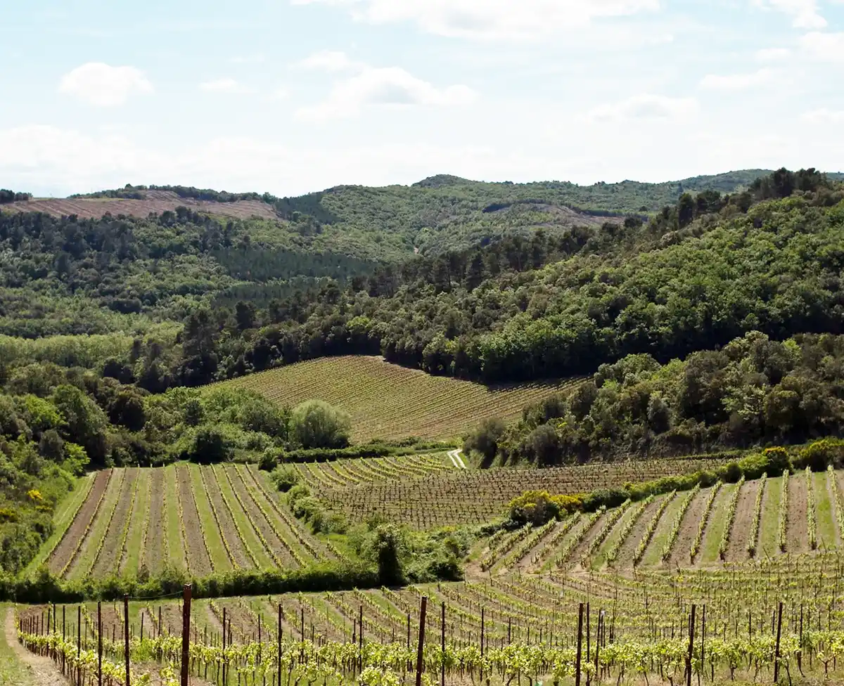 Clos Teisseire